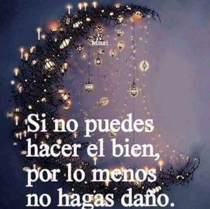 Meet your Posher, Jacqueline